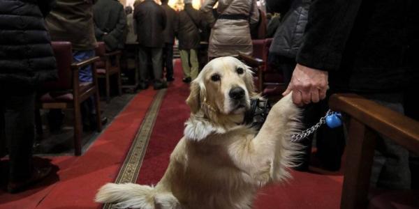 Los dueños de mascotas, devotos del patrón, llevan a perros, gatos, canarios y todo tipo de animales, muy engalanados, a recibir la bendición de San Antonio Abad / EL PAÍS