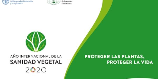 Cartel del año de la Sanidad Vegetal