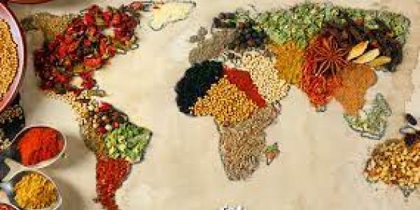 El problema de la seguridad alimentaria mundial