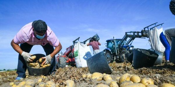 Agricultores y la sequía