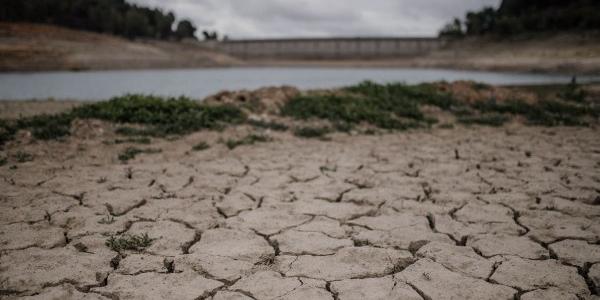 El impacto de la sequía en las economías