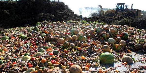 Sistema alimentario contaminante