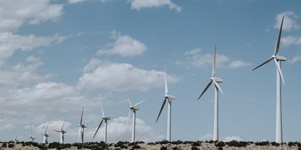 Molinos de viento