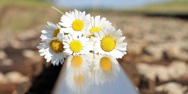 Suicidio / Pixabay Ramo de flores en la vía del tren