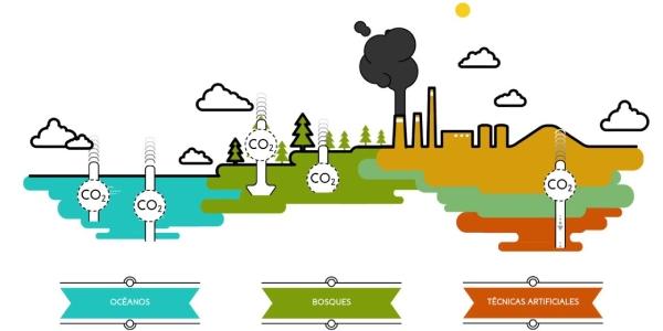 La acción de los sumideros de carbono