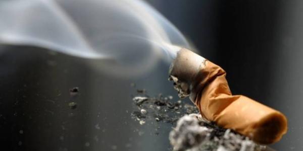 Efectos del tabaco en el medio ambiente