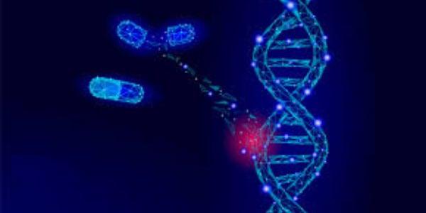 Terapia génica con sello español La terapia génica que hace que niños con sordera congénita puedan oír