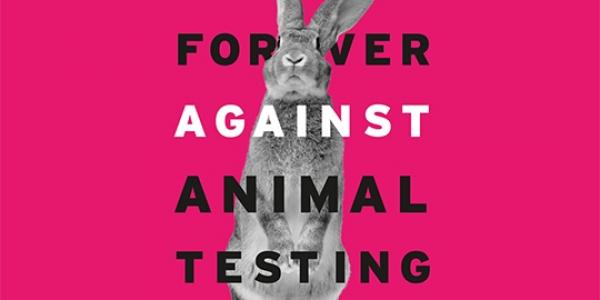 Conejo de una campaña de  Cruelty Free International contra los test en animales