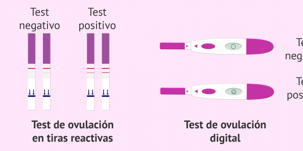 Test de ovulación