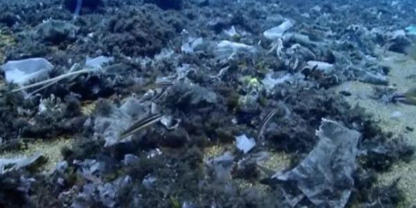 Contaminación de una parte del océano con toallitas desechables