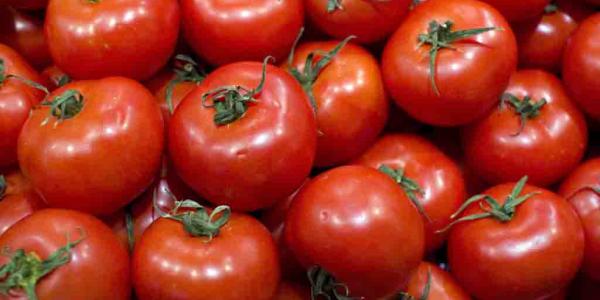 Los tomates consiguen potenciar su sabor con una pizca de sal 