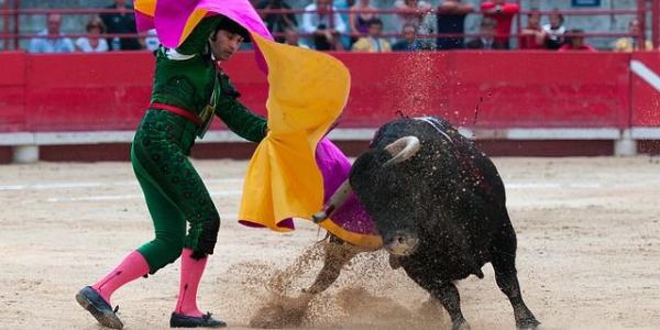 Los toros se incluyen en la cultura