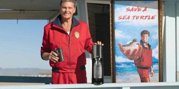 David Hasselhoff y su campaña para salvar tortugas marinas