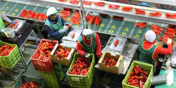 Desigualdad laboral entre hombres y mujeres.