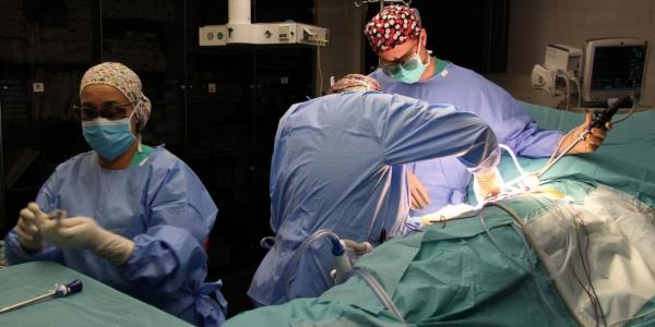 El Clínic de Barcelona alcanza el trasplante número 1.000 de donante vivo de riñón