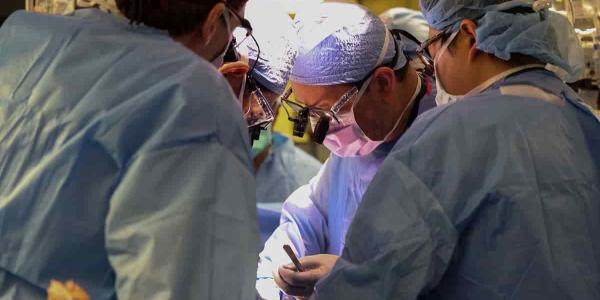 La ONT manifiesta cuestionamientos sobre los trasplantes de riñón