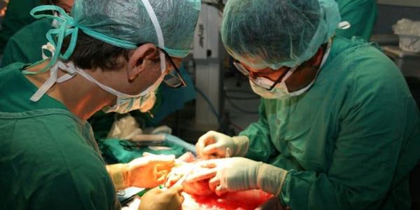 España lidera los trasplantes de órganos