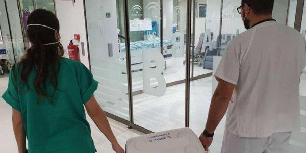 Sanitarios transportando una caja para realizar trasplantes de órganos