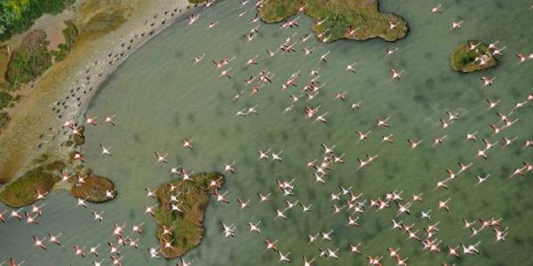 Doñana 