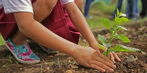 Aprendiendo valores medioambientales