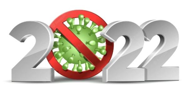 Los virus del 2022