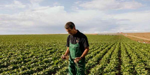 Pascual relanza la marca, reforzando su compromiso con la producción sostenible y la industria agroalimentaria local.