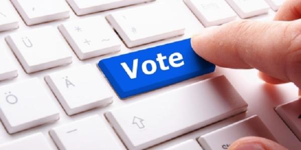 El voto online y sus razones