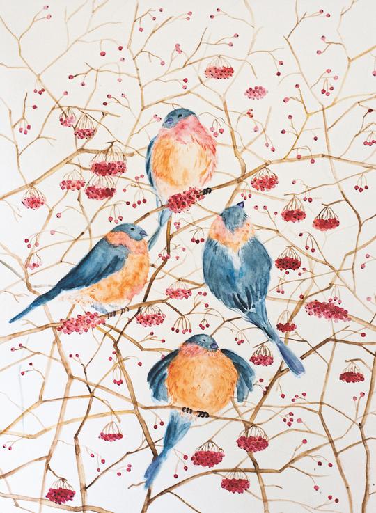 Fasut-Dream-Watercolour-birds
